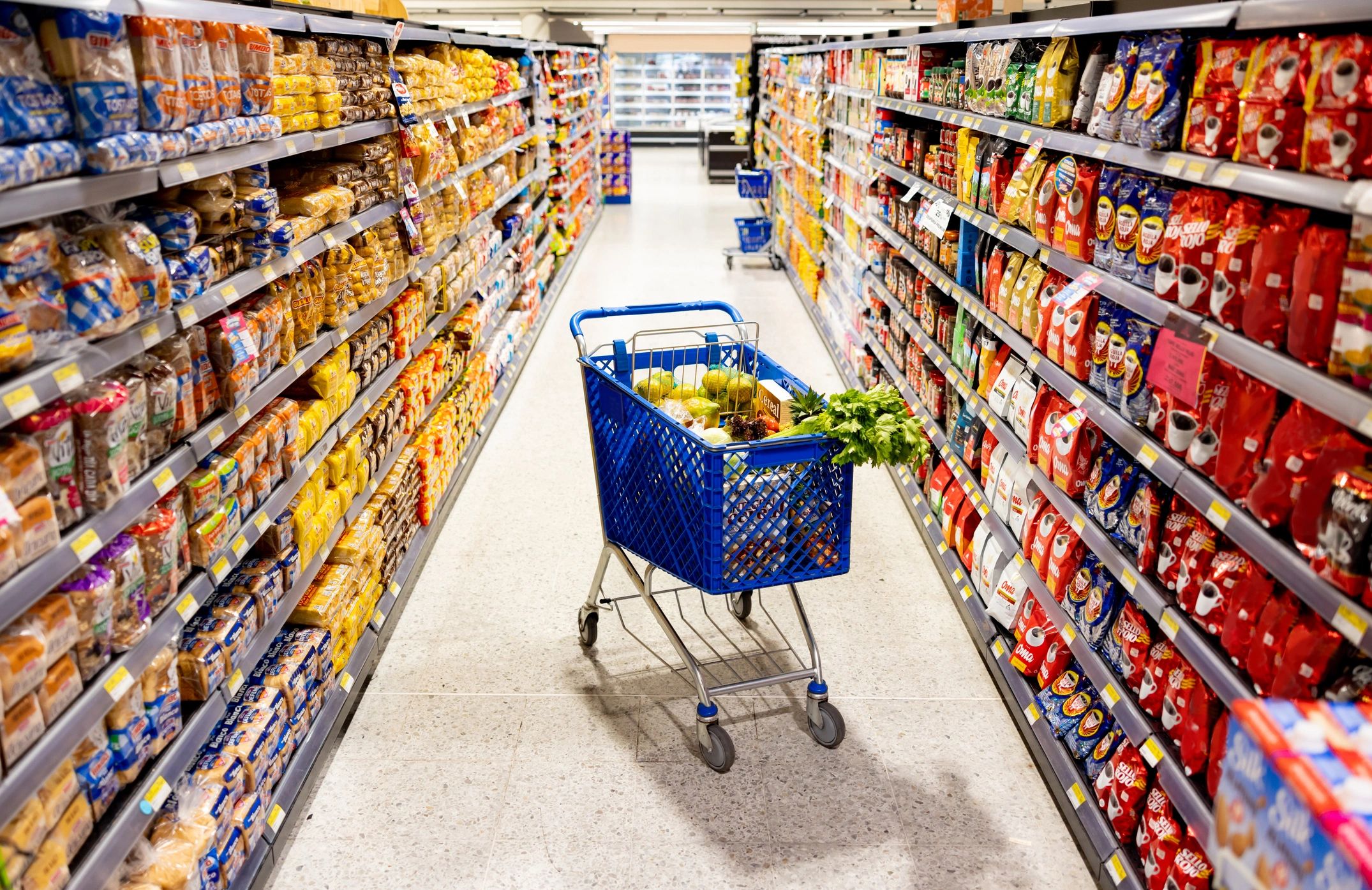 Shopping cart in a supermarket aisle
